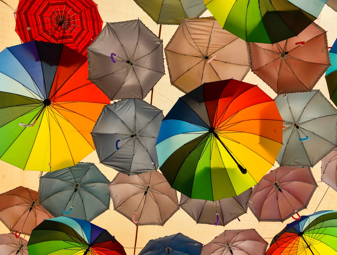 Walking under an archway of umbrellas